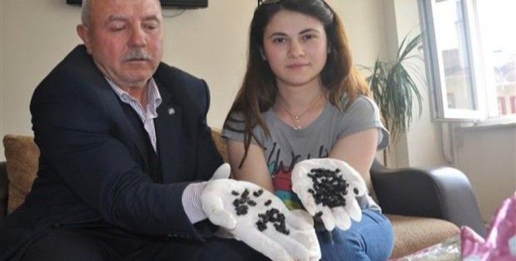 Bursa'da 'böcek istilası' iddiasıyla ilgili açıklama