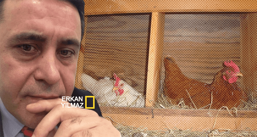 Neden avukat istemesin ki…