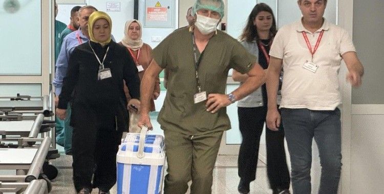 Türkiye'de her gün 6-7 hasta organ beklerken ölüyor