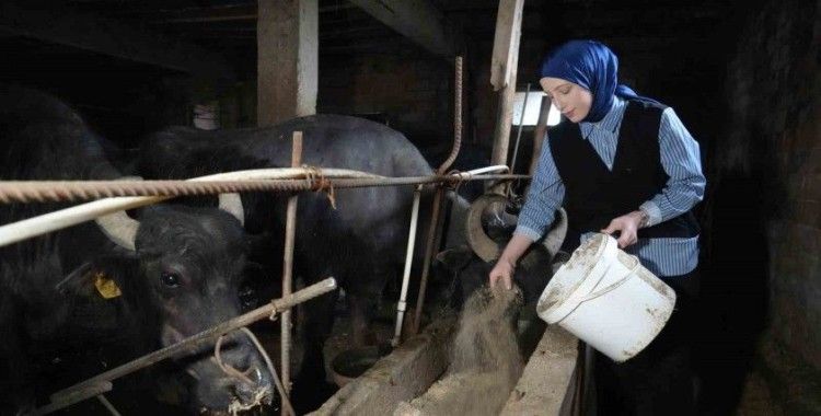 Ticari süt işletmelerince 1 milyon 15 bin 647 ton inek sütü toplandı