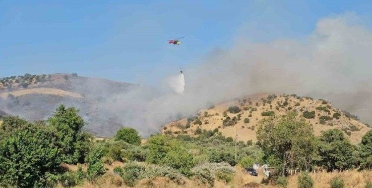 Nazilli’deki zirai alan yangını kontrol altına alındı