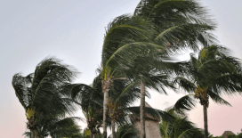 Sıcaklık yükseliyor, rüzgar sert esiyor: İl il hava durumu