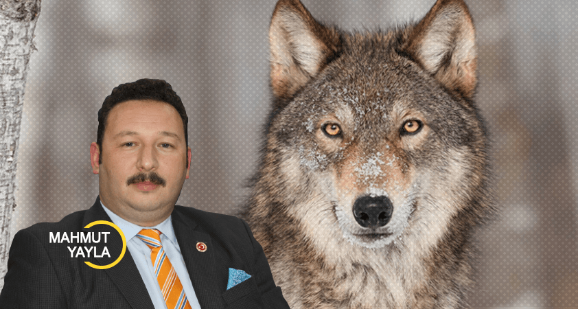 Av değil, Avcı...