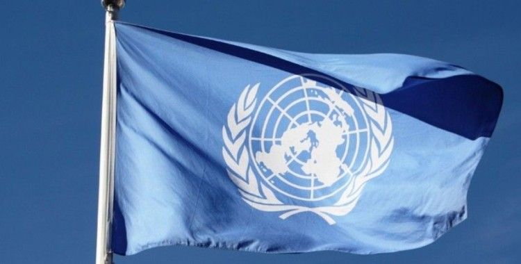 ‘ABD’nin BM İnsan Hakları Yüksek Konseyi Özel Raportörü’ne yönelik yaptırımları uluslararası hukukunun ihlalidir’