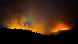 Balıkesir'de orman yangını: Bir mahalle tedbiren boşaltıldı