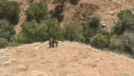 Diyarbakır'da 71 yıl kesinleşmiş hapis cezası ile 20 yıldır aranan şahıs yakalandı