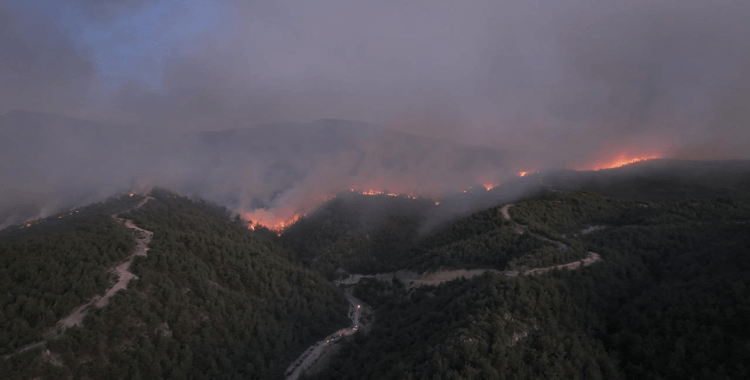 Sakarya'da başlayıp Bilecik'e sıçrayan yangın devam ediyor