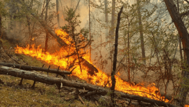 Karabük'te orman yangını çıktı: Evler tahliye edildi