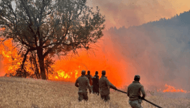 Çıkan 61 orman yangınıyla ilgili 4 şüpheli tutuklandı