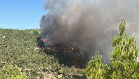 Denizli'de orman yangını çıktı: Ekipler alevlere müdahale ediyor