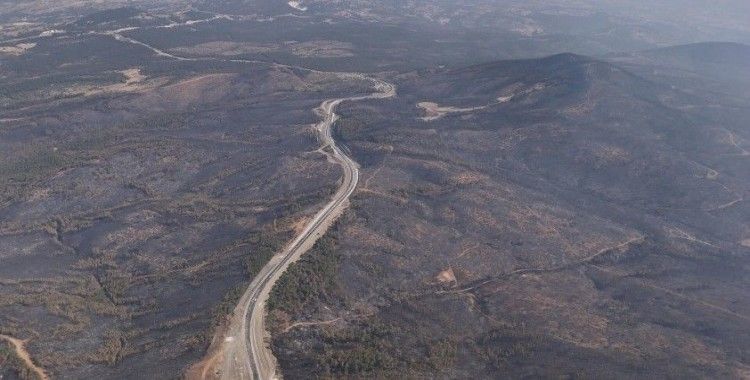10 bin futbol sahası büyüklüğünde orman kül oldu