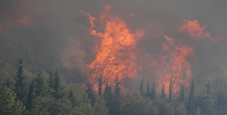Çanakkale ve Manisa'da orman yangınlarına müdahale sürüyor
