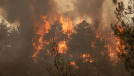 Antalya'daki orman yangınlarının neredeyse yarısı "kontrolsüz piknik" kaynaklı