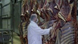 Erşan Et konkordato ilan etti, kırmızı et sektöründe neler oluyor?