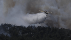 Malatya'da orman yangını: Bölgede ekiplerin müdahalesi sürüyor