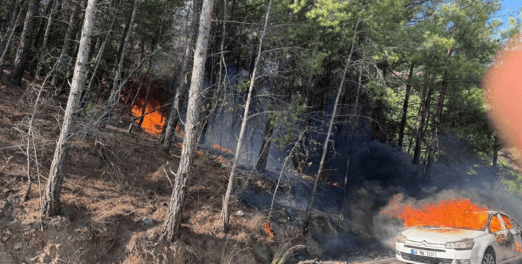 Otomobilde çıkan yangın ormana sıçradı