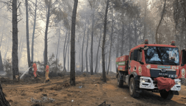 Bolu'da çıkan orman yangınına müdahale ediliyor