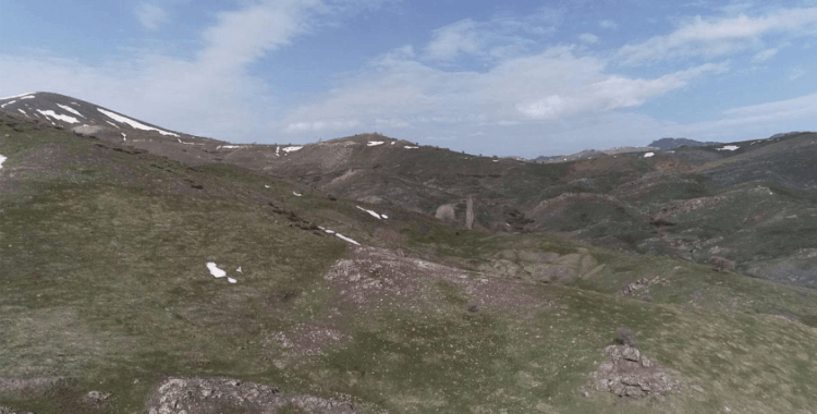 Ormanlarda maden aranmasına ilişkin hükümler düzenlendi