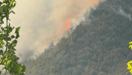 Bartın'da ormanlık alanda çıkan yangın kontrol altına alındı