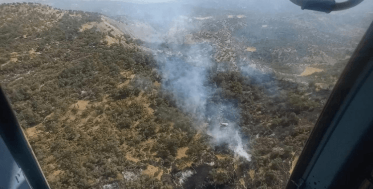 Şırnak'ta orman ve örtü yangını