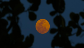 Dünya bu ay 82 dakikalık Kanlı Ay tutulmasına tanık olacak