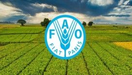 FAO: 2030'da yetersiz beslenen insan sayısı 500 milyonu geçecek