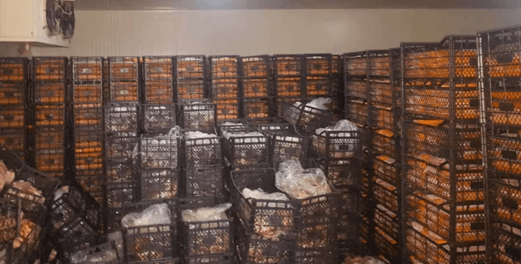 Piyasaya sürmeye hazırlanıyorlardı: Ahırın içinde saklanan 1.5 ton et yakalandı