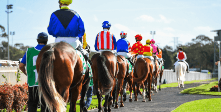 At yarışı tahminleri nasıl takip edilir?