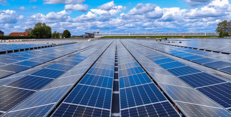 Türk yatırımları Ukrayna'da yenilenebilir enerji alanında büyük adımlar atıyor