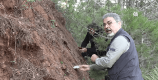 Depremlerin neden bitmediği ortaya çıktı: 'Ölü faylar dirildi'