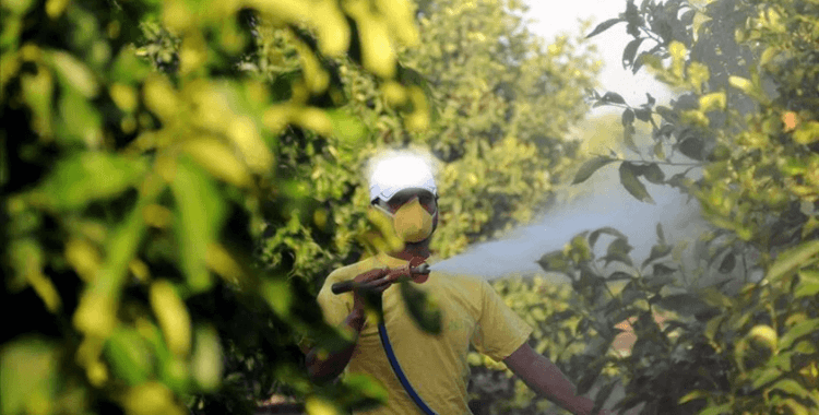 Böcek ilaçlarında yeni dönem: Reçetesiz ve internetten satış yasaklandı